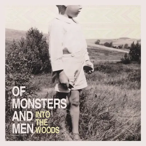 Of Monsters And Men - Little Talks