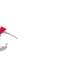 Visionciudadana