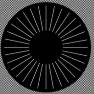 Transmission #5 con Fran Yera