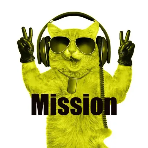 Mission