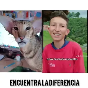 DIVINOOO