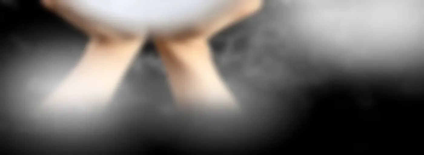 LOS BRILLOS DE LA NOCHE