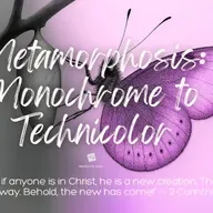 Metamorphosis: Monochrome to Technicolor