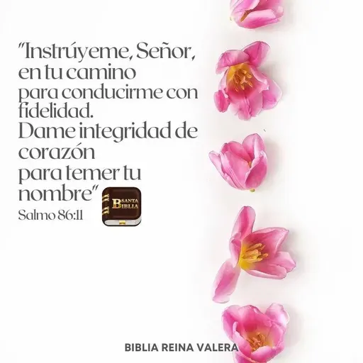 AUDIO.. EN CRISTO SOMOS VALIENTES