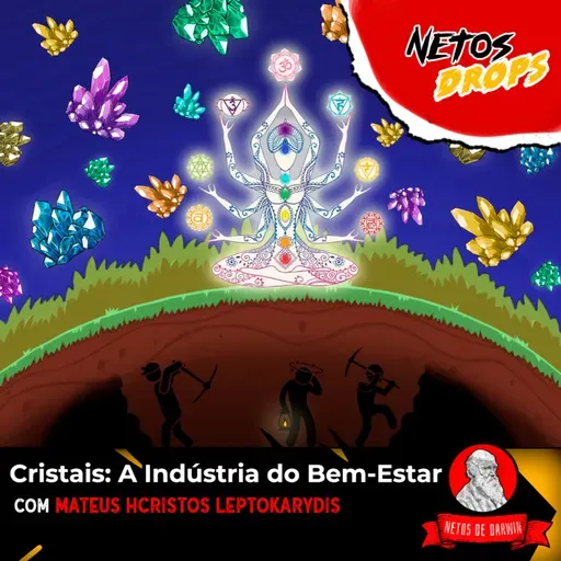 Cristais: A indústria do Bem-Estar | Netos Drops