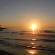 (Mono) Monocromátic 2 pájaros de 1 tiro Serrat y Sabina