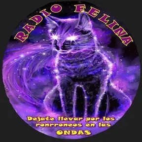 RADIO FELINA