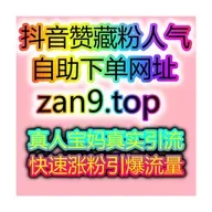 小红书极速同步赞与红薯真人粉完美组合全网流量放大器自助人气提升网