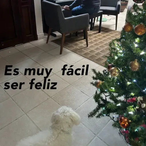 Día de la virgen, he hablado con Dios, Rincón culinario, Posada navideña, no me esta gustando tanto el frío, top 3 canciones de Natanael Cano y no tengo ropa.