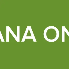 BAKANA ONLINE