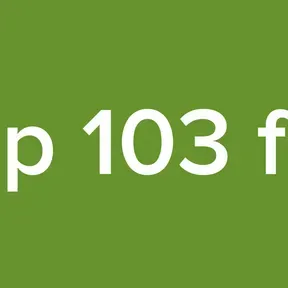 Zip 103 fm