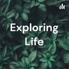 Sibusiso Nene's Show