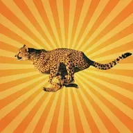 Le guépard a des choses à dire !