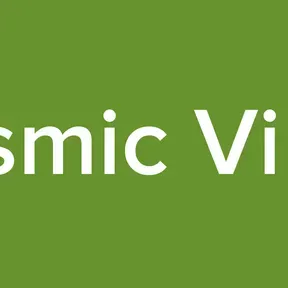 Cosmic Vibes