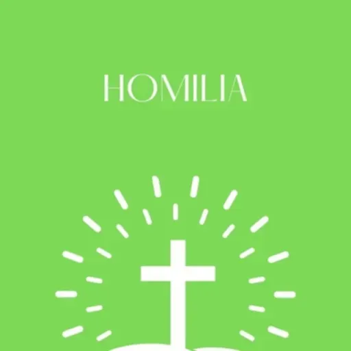 Homilia Pe. André - 4º domingo da quaresma 19/03/2023