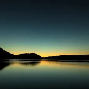 Perfect Silence -
