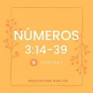 Números 3:14-39