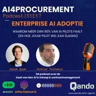 S1E17 | Entreprise AI Adoptie  | AI4Procurement powered by Qando!