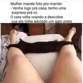 HoTFeliZ
