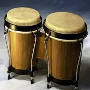 Bongo Stereo