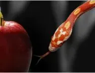 Как побеждать искушения?