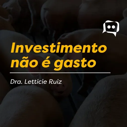 Investimento não é gasto