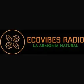 EcoVibes SPI Radio