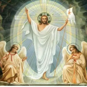 Evangeliza vida