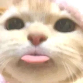 mamamo
