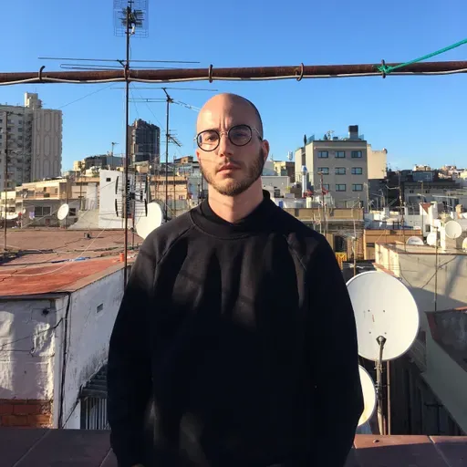 Las chinches: sistemática y reclasificación