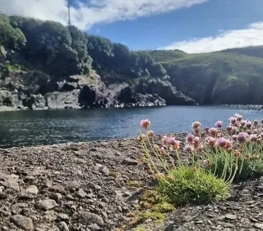 Clár 288; Leathchéad bliain ó dfhág Tim Severin agus a chriú Cuas a' Bhodaigh