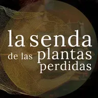 Los conjuros de amor con plantas salen mejor {SPP 081}