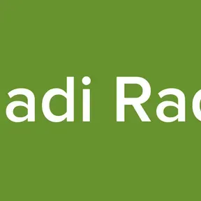 Dhadi Radio