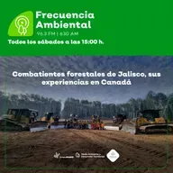 Episodio 210. Combatientes forestales de Jalisco, sus experiencias en Canadá