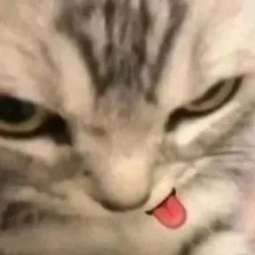 Oniichan ugu