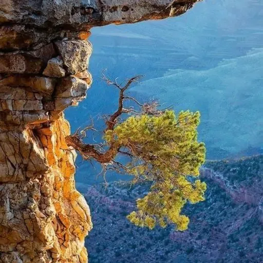 Lua Nova em Capricórnio