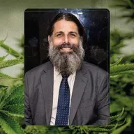 Maconha no Brasil: tudo que você precisa saber