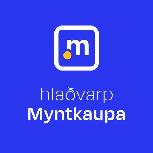 Guðlaugur Steinarr Gíslason - Hver er staða og hlutverk rafmynta í fjármálum heimsins í dag?