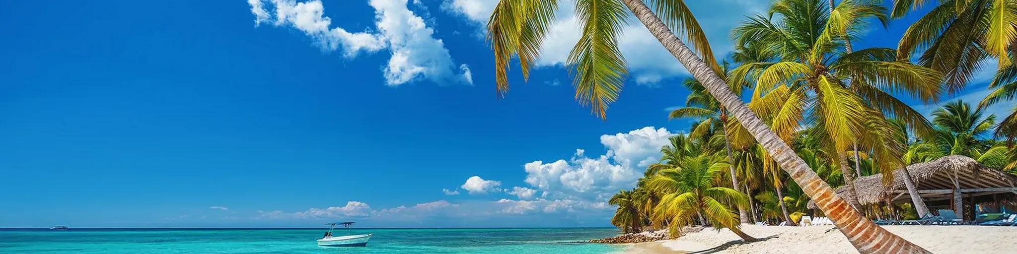 Caribbean Vybz