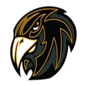 Revolution Radio Hawks Nest