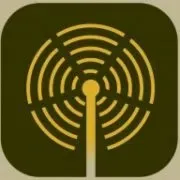 OEM Radio