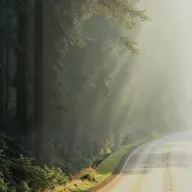 Episode 4: Learning to Surrender