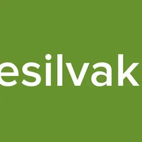 Bluesilvakkk3