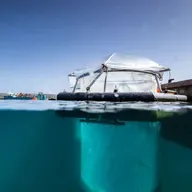 C&EN Uncovered: Can altering ocean chemistry fight climate change?