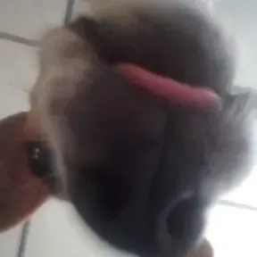 la paja