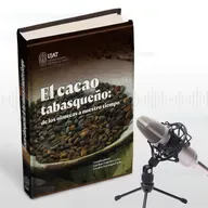 El CACAO Tabasqueño: de los OLMECAS a nuestro tiempo