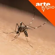 La France doit-elle déclarer la guerre aux moustiques ?