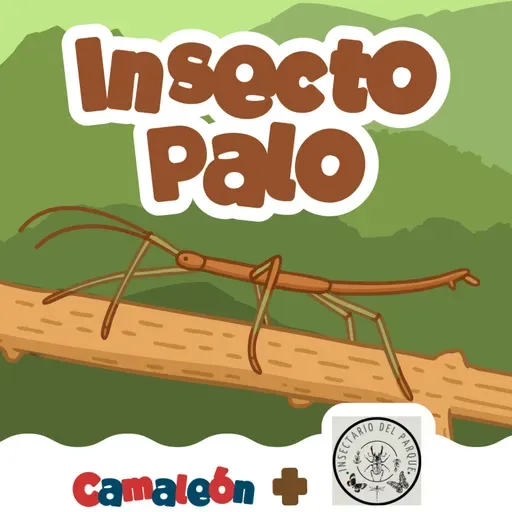 Insecto palo: ramas que caminan
