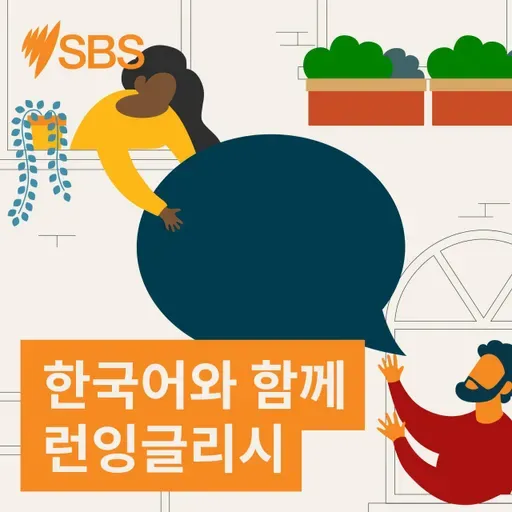 #110 Trying on shoes (Med) - SBS Learn English 에피소드 110: 신발 신어 보기 (중급)