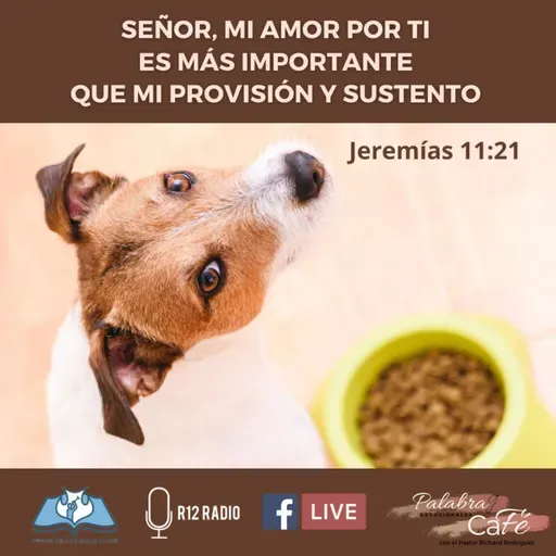 SEÑOR, MI AMOR POR TI ES MÁS IMPORTANTE QUE MI PROVISIÓN Y SUSTENTO. Jeremías 11:21.